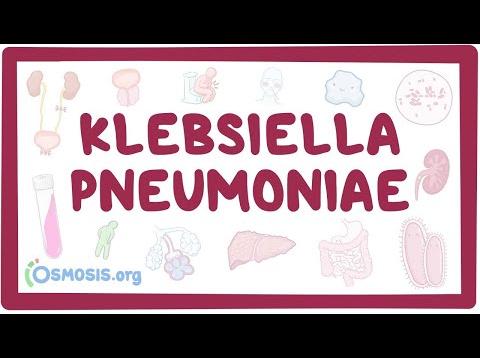 Klebsiella pneumoniae – causes, symptoms, diagnosis, treatment, pathology