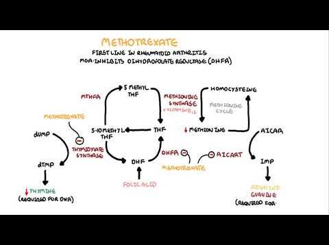 Methotrexate – Pharmacology (DMARDs, mechanism of action, side effects)