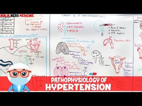 Pathophysiology of Hypertension