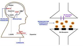 Pharmacology – PARKINSON’S DRUGS