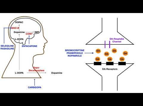 Pharmacology – PARKINSON’S DRUGS