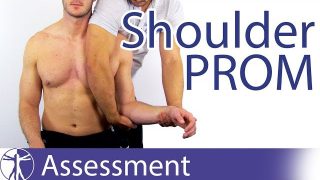 Shoulder Passive Range of Motion (PROM) Shoulder Passive Range of Motion (PROM)