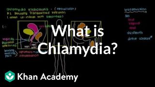 What is chlamydia? | Infectious diseases | NCLEX-RN | Khan Academy