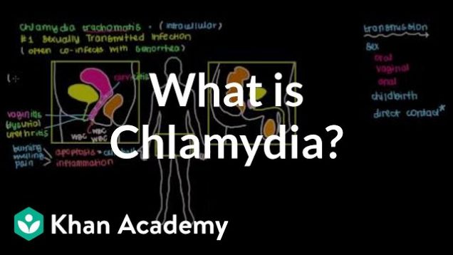 What is chlamydia? | Infectious diseases | NCLEX-RN | Khan Academy