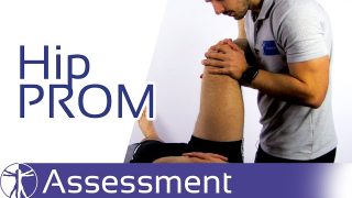 Hip Joint Passive Range of Motion (PROM)