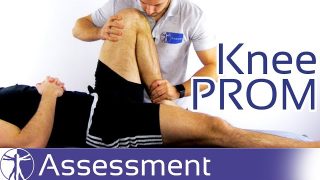 Knee Passive Range of Motion (PROM)