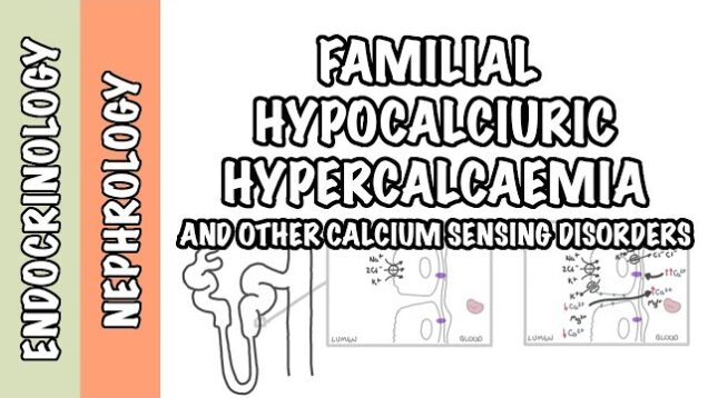 Familial Hypocalciuric Hypercalcemia + other calcium sensing disorders  – pathophysiology, treatment