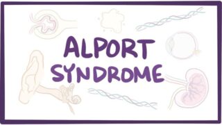 Alport syndrome – causes, symptoms, diagnosis, treatment & pathology