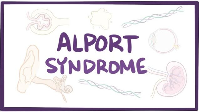Alport syndrome – causes, symptoms, diagnosis, treatment & pathology