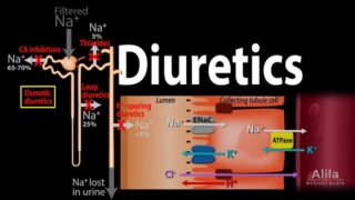 Diuretics – Mechanism of Action of Different Classes of Diuretics, Animation