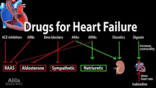 Pharmacology: Drugs for Heart Failure, Animation